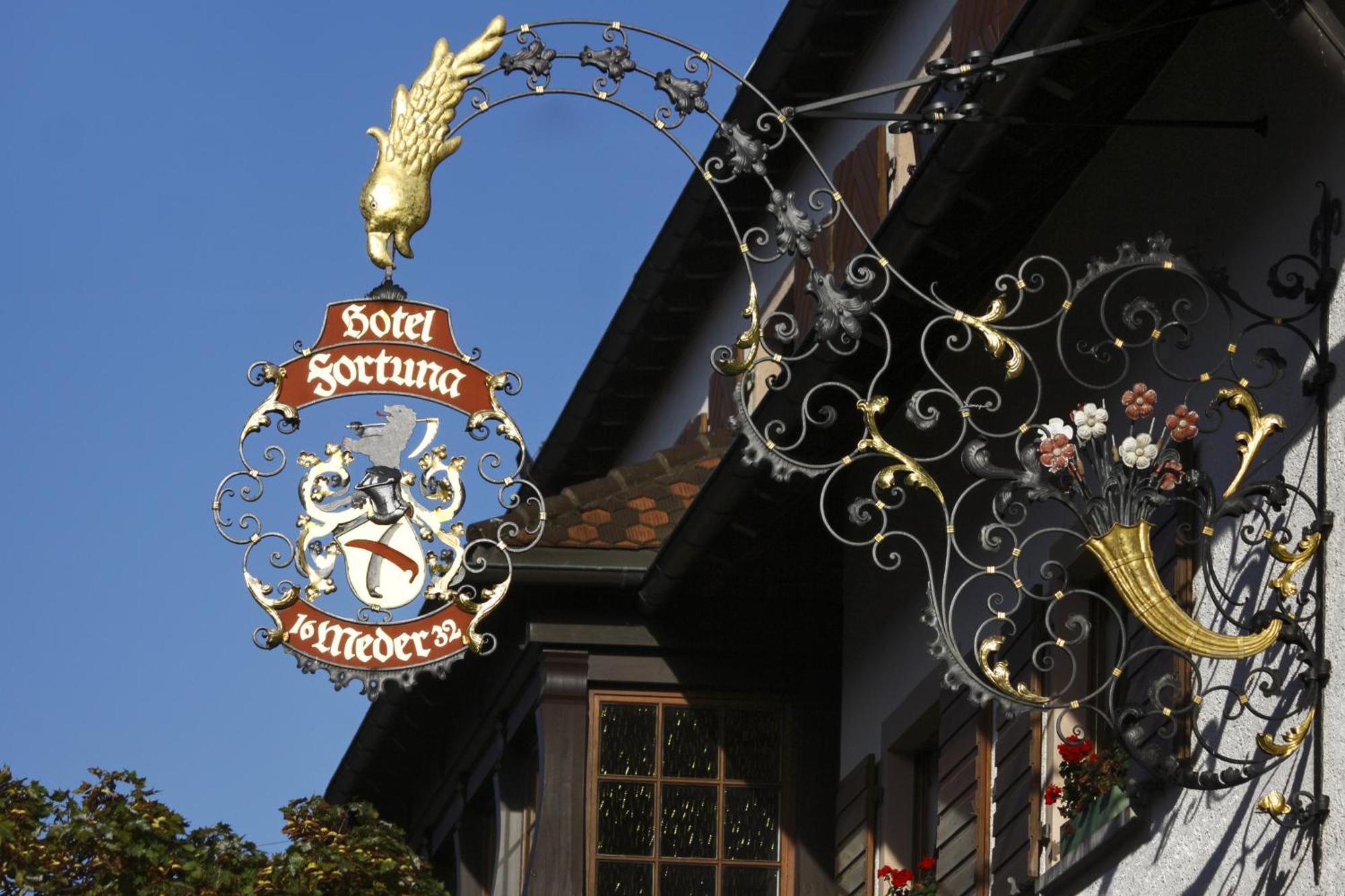 Hotel Fortuna Kirchzarten Ngoại thất bức ảnh